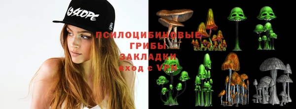 ешки Богородицк