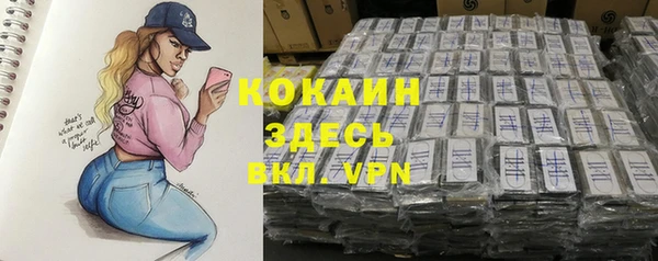 Альфа ПВП Богородск